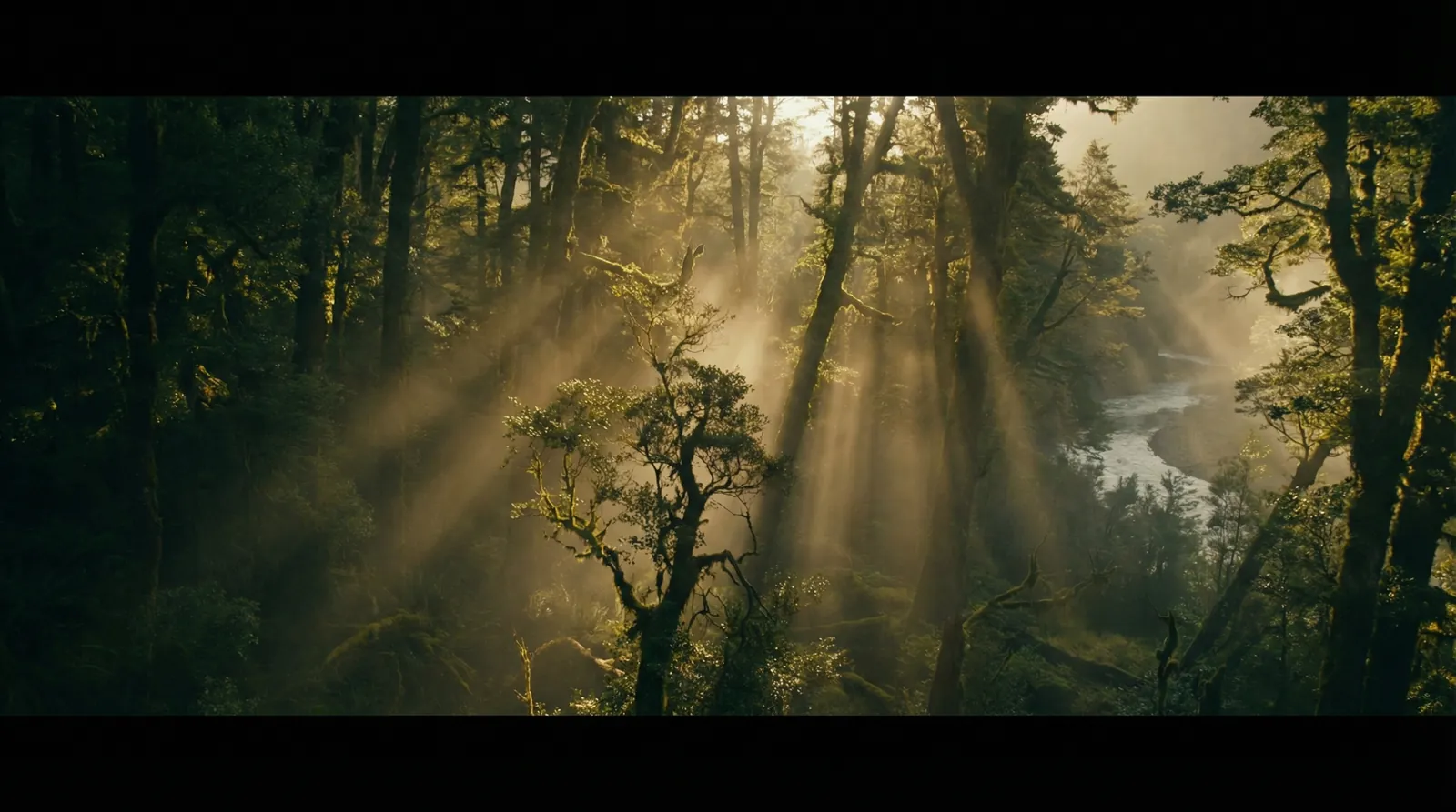 海角社区 自然纪录片风格调色案例